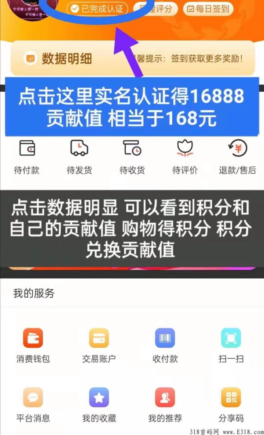 君凤煌能上市吗?推广一个人能赚多少