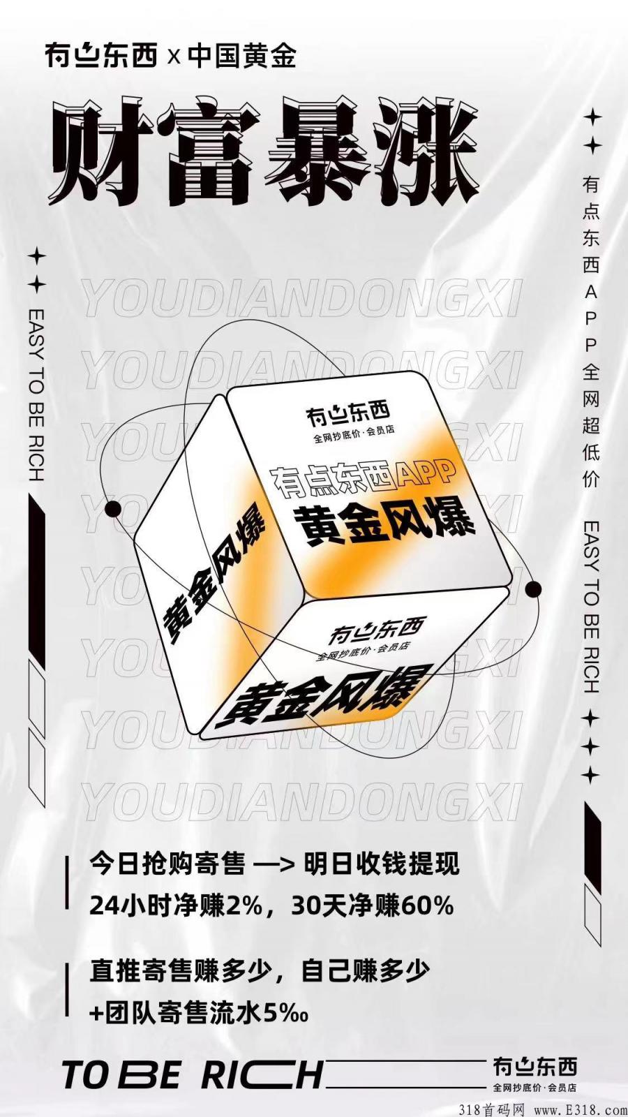 黄金风暴项目是干嘛的 黄金风暴资金盘玩挣钱吗
