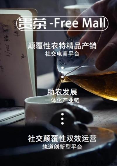 富瑞商城freemall首码 互联网创业新风口