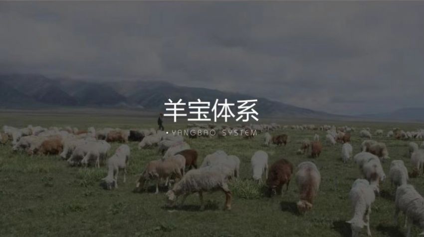 羊好多项目怎么玩 羊好多正规吗