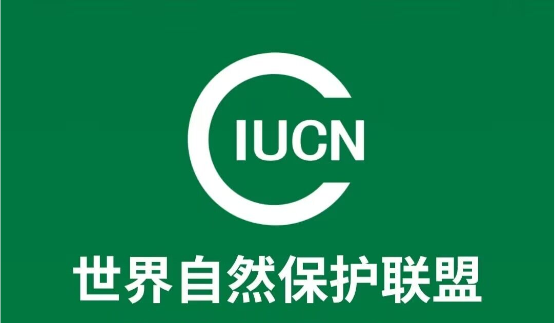 IUCN自然联盟注册教程： 每天稳定日入高，一款做任务就可以赚米的App，详细功能介绍