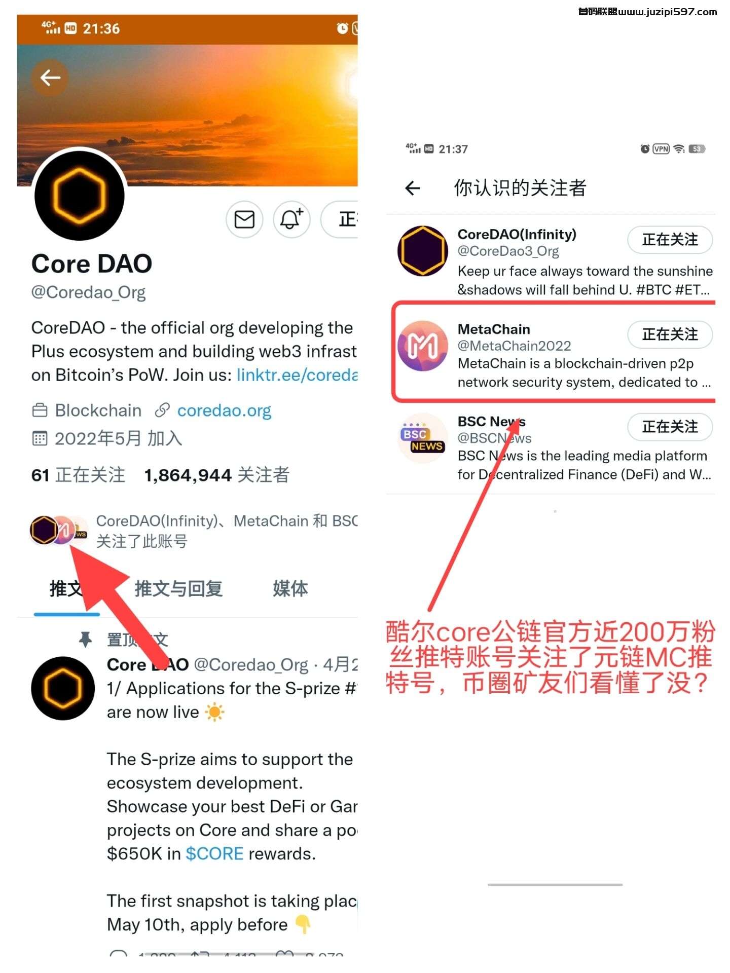 元链MC受到core官推关注能挖矿且免费2024年主网上所令有公链冷钱包