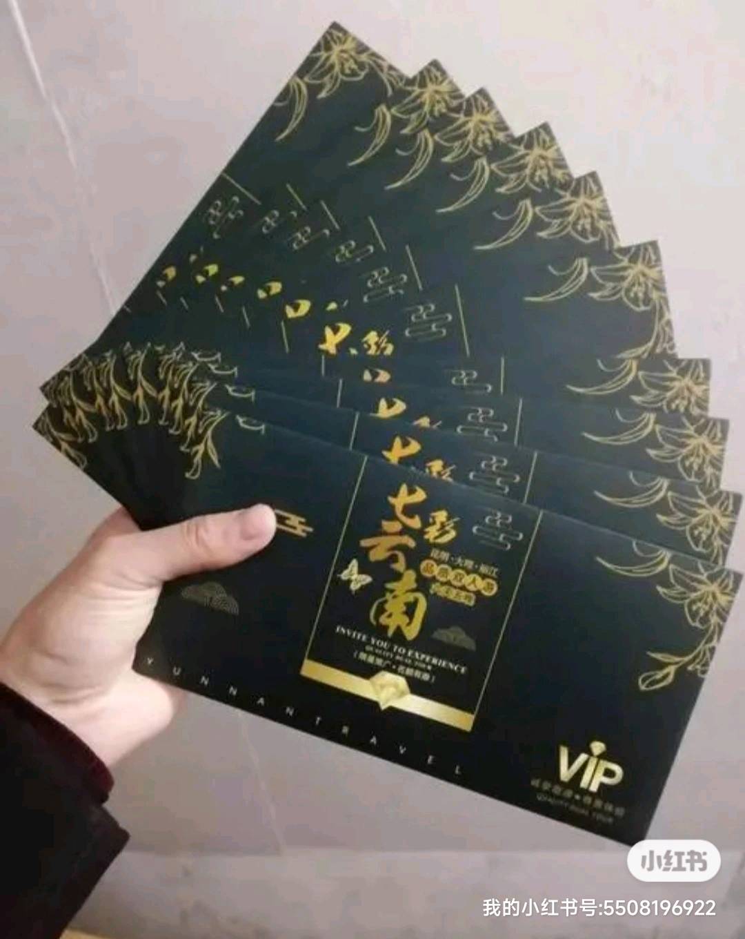  风口项目旅游卡一手代理