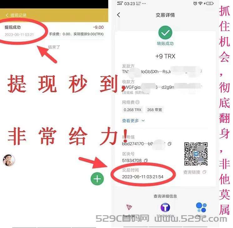 首码（波场Trx）新玩法介绍，注册送38000波场币（trx），开加速获取，彻底翻身！