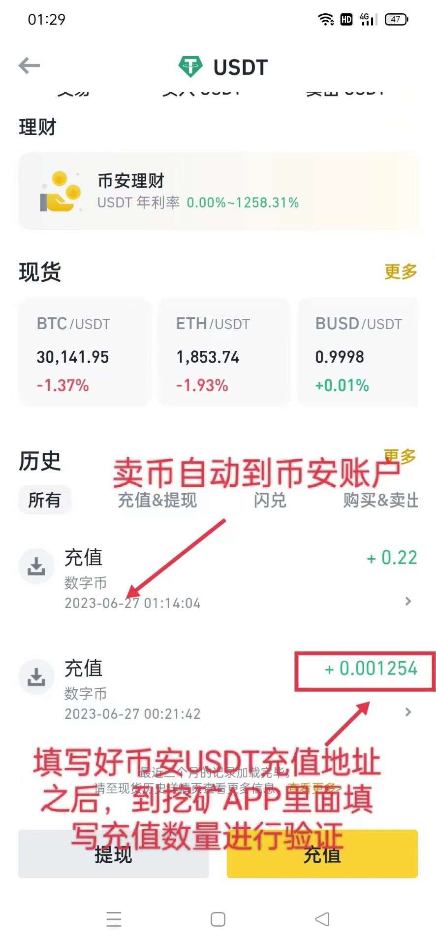 海外首码CATLY注册送500b质押币安专属挖矿,收益随时变现提u秒到账不实铭 1月后上线币安