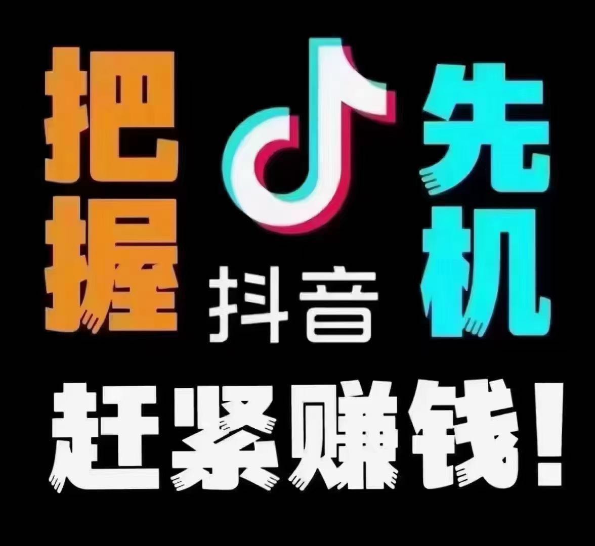  抖音快手项目 招代理