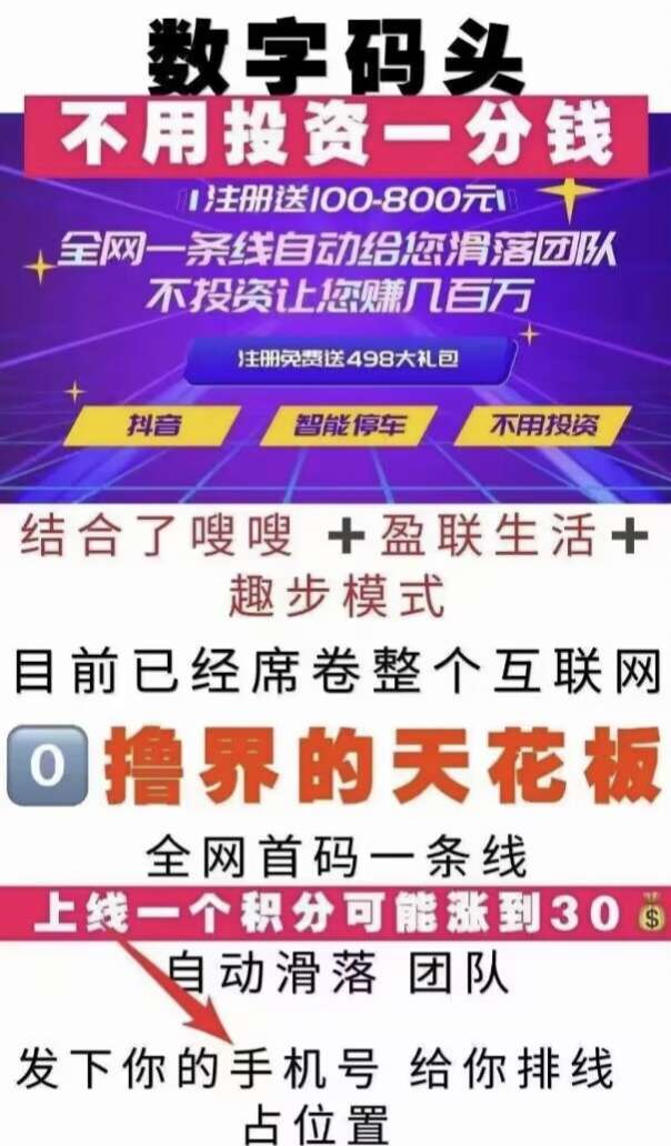 数字码头，天花板，王炸项目，欢迎你来咨询，人人可参与，兼容躺平躺赚模式