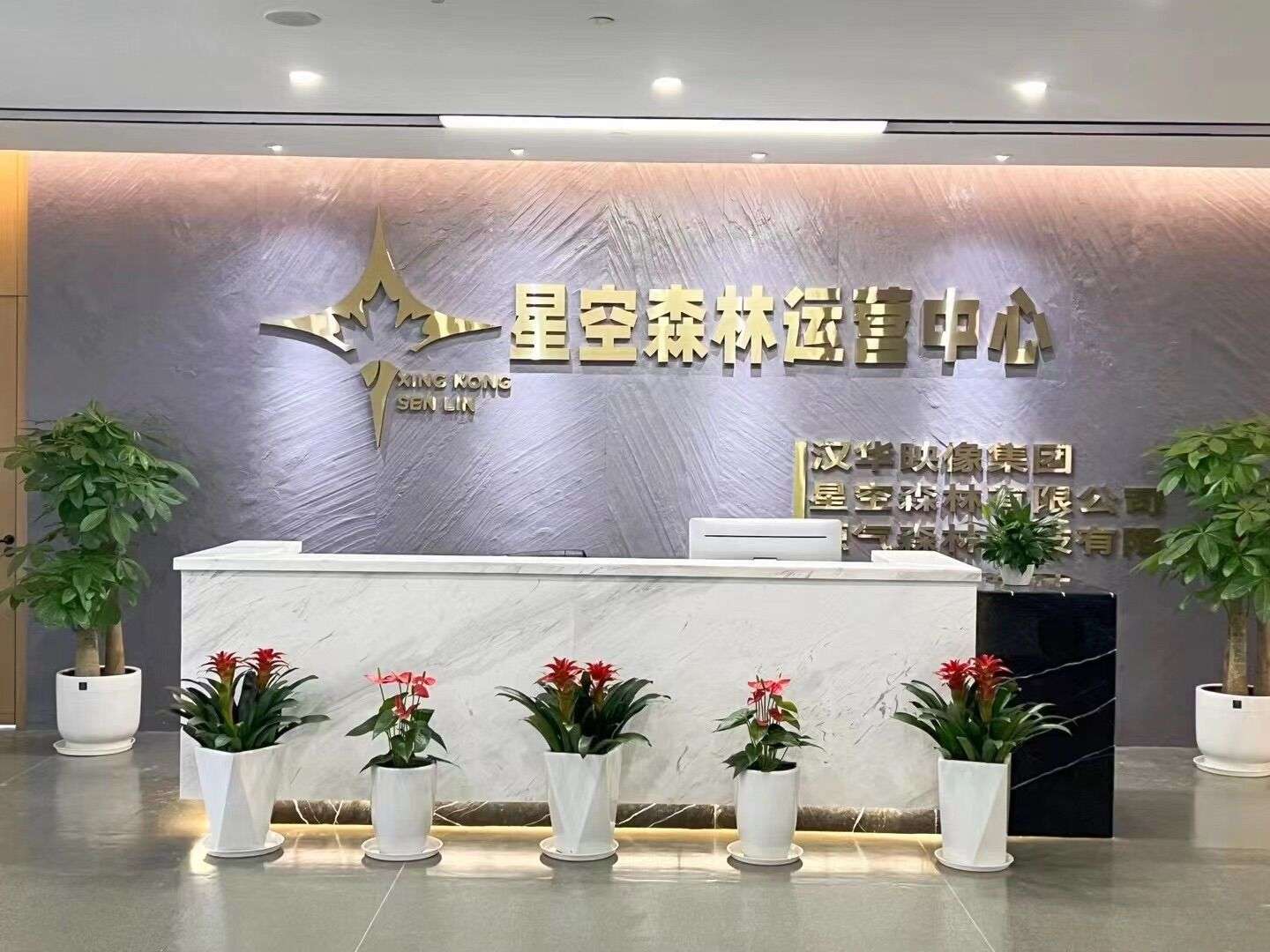 星空森林火爆来袭，创新模式，待遇拉满