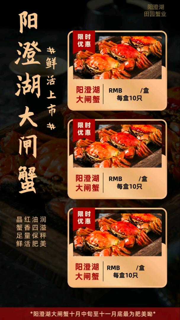  苏州阳澄湖大闸蟹代理
