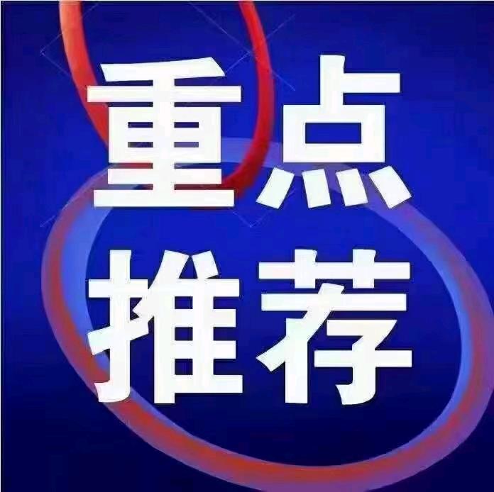  招募合伙人/适合全网各主流平台的 前端科技项目，见效快