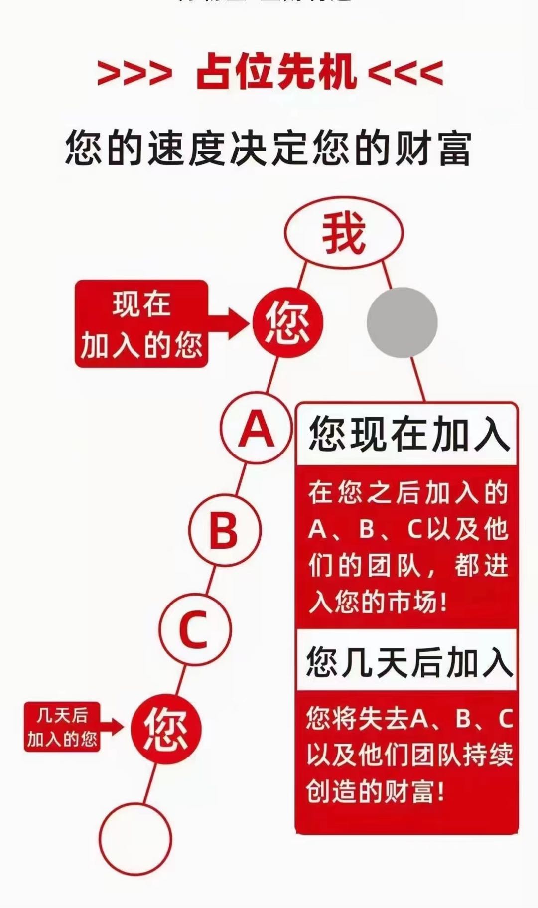  盛肽堂直推团队**