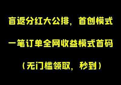 【首推圈】重磅来袭，全网首创模式，自动盲返全网**