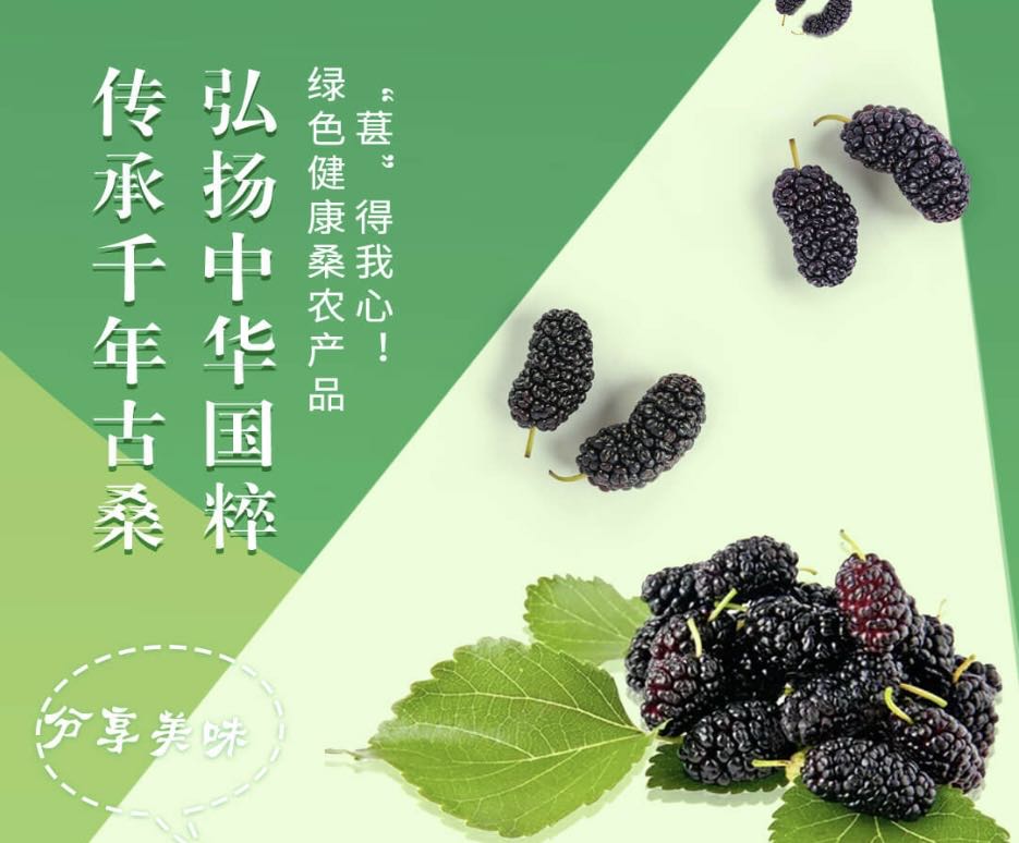  app推广，注册免费领三款产品，茶叶，牙膏，洗衣液