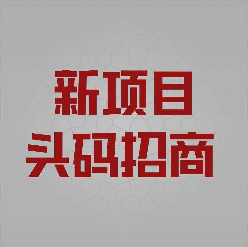  三十八度购-商城推广项目，399元模式